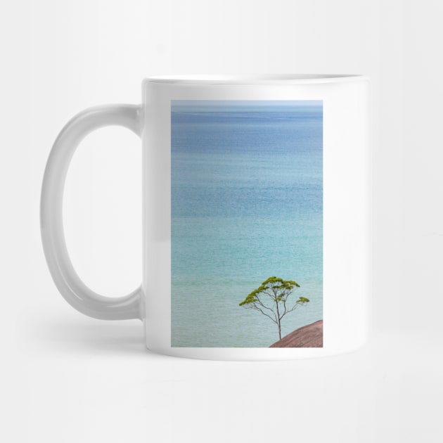 Small tree and big vast ocean scenery by Juhku